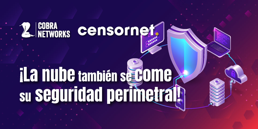 ¡La nube también se come su seguridad perimetral!
