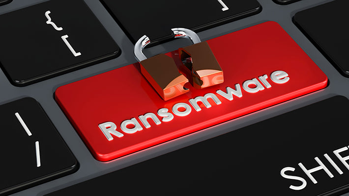 ¿Requiero Sandbox para mi servicio Email Security o Antispam?