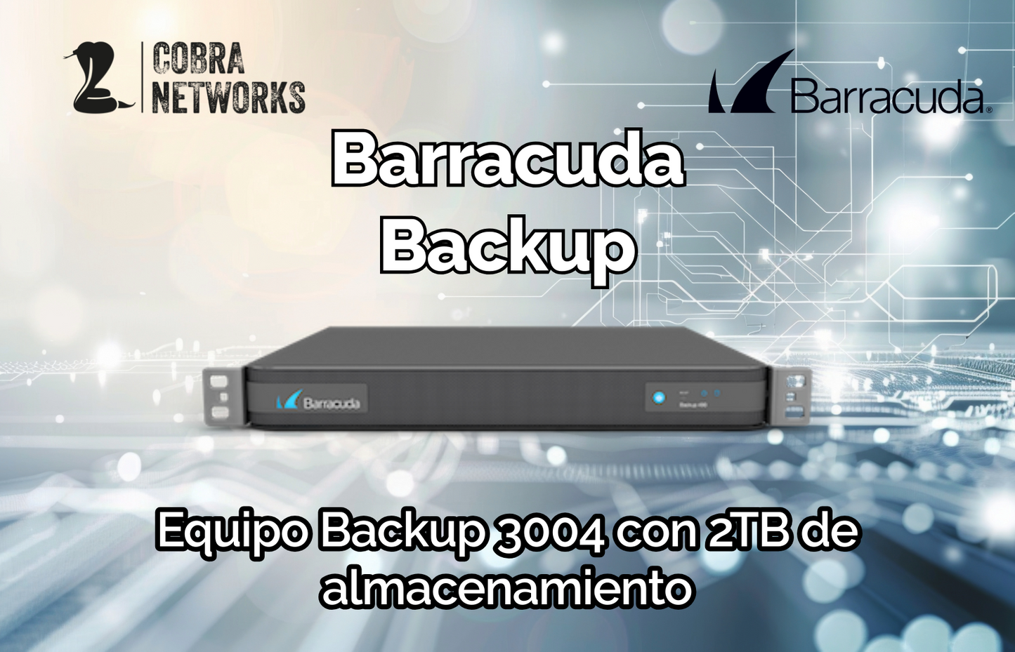 Barracuda Backup Server modelo 3004 con 2 TB de almacenamiento