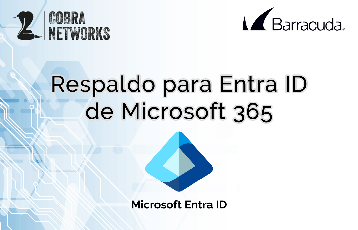 Servicio anual de respaldo para Microsoft 365 Entra ID