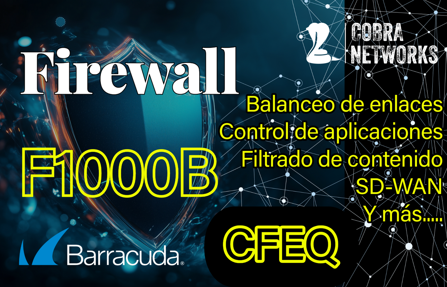 Barracuda CloudGen Firewall F1000B.CFEQ con 1 Year EU+IR