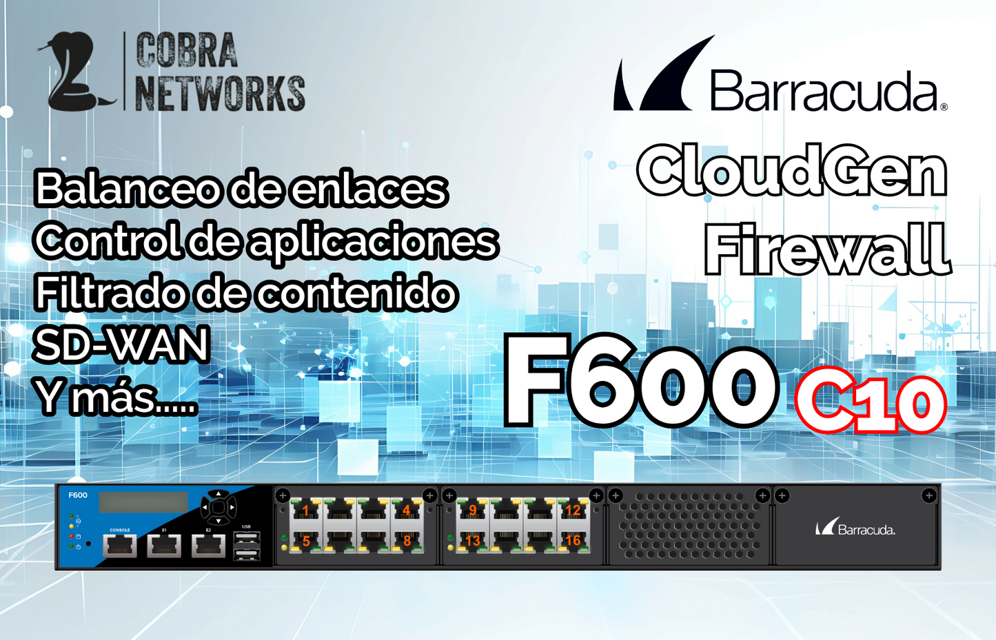 Barracuda CloudGen Firewall F600D.C10 con 1 Year EU+IR