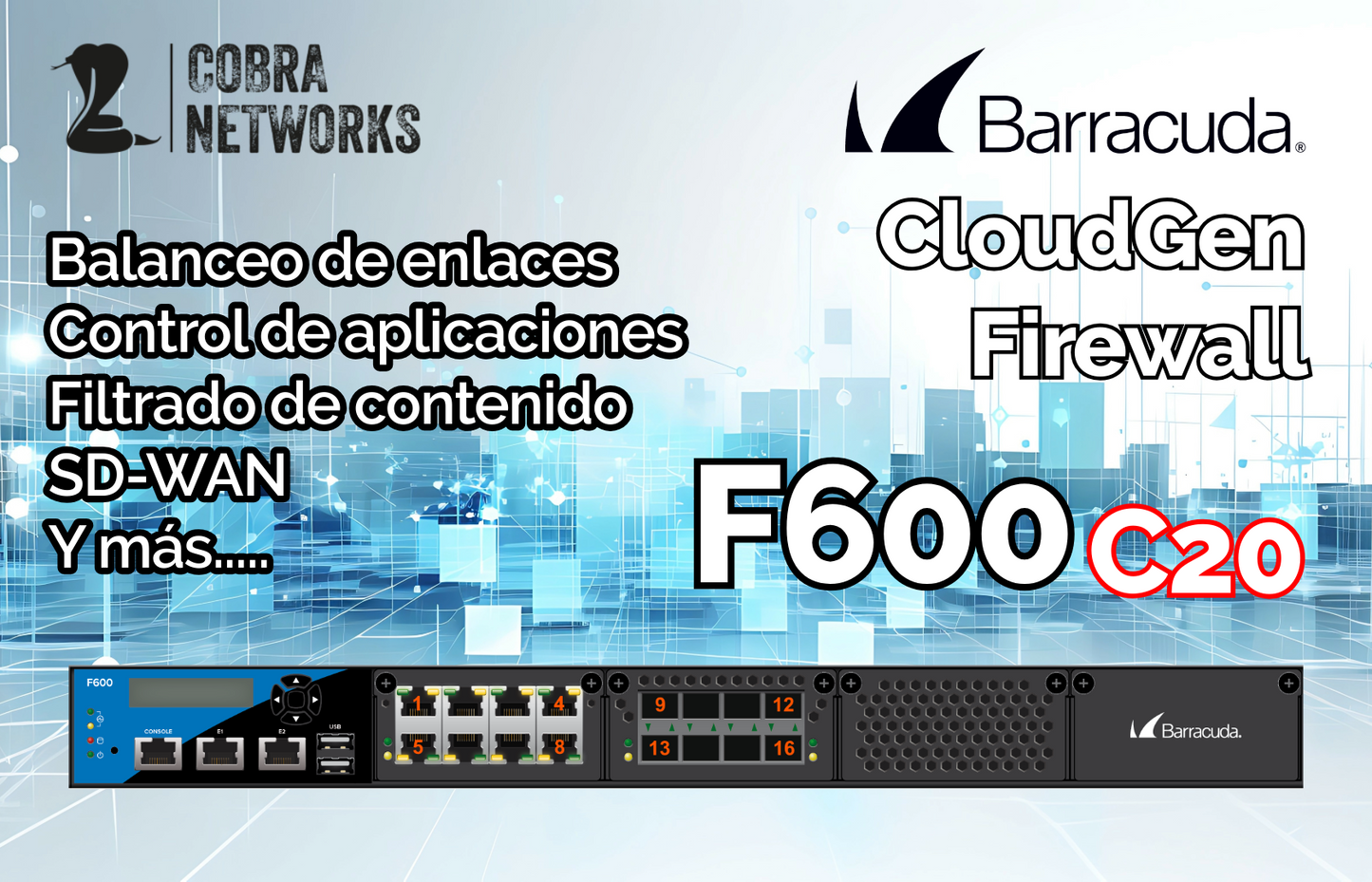 Barracuda CloudGen Firewall F600D.C20 con 1 Year EU+IR
