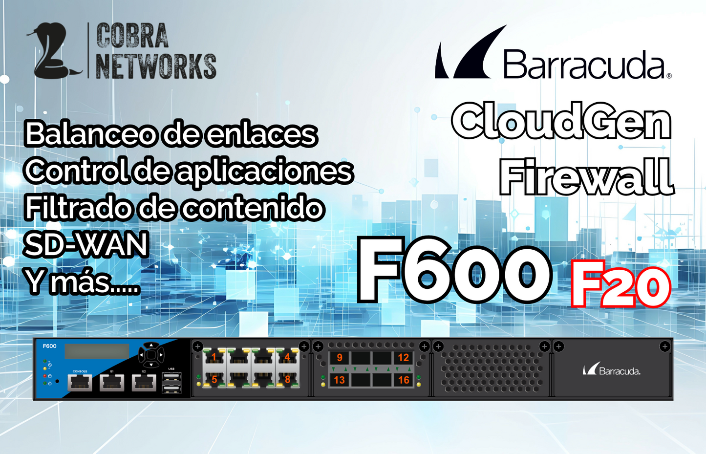 Barracuda CloudGen Firewall F600D.F20 con 1 Year EU+IR
