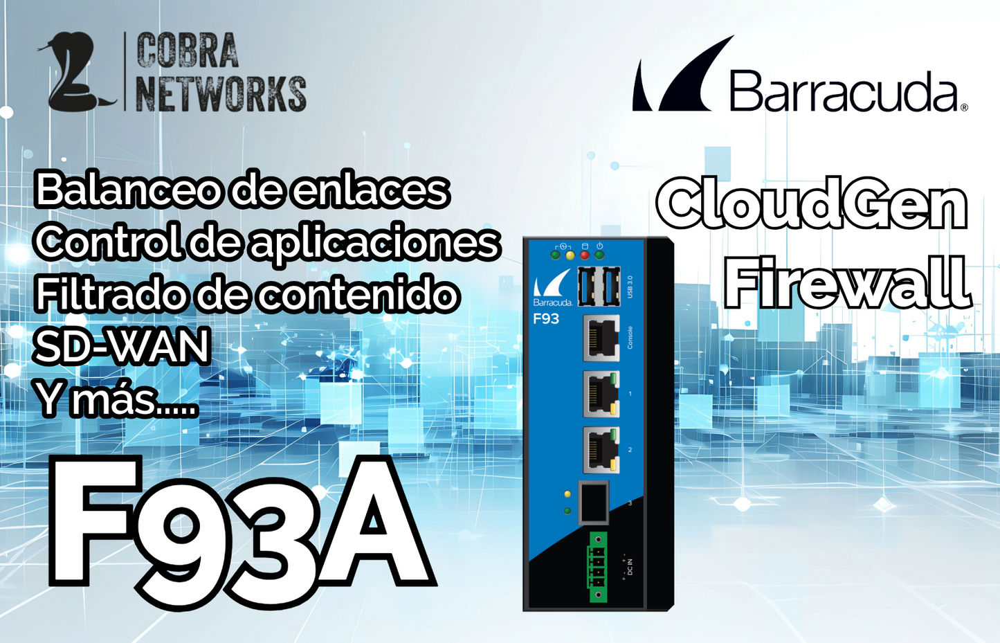 Barracuda CloudGen Firewall F93A.R con 1 Year EU+IR (copia)