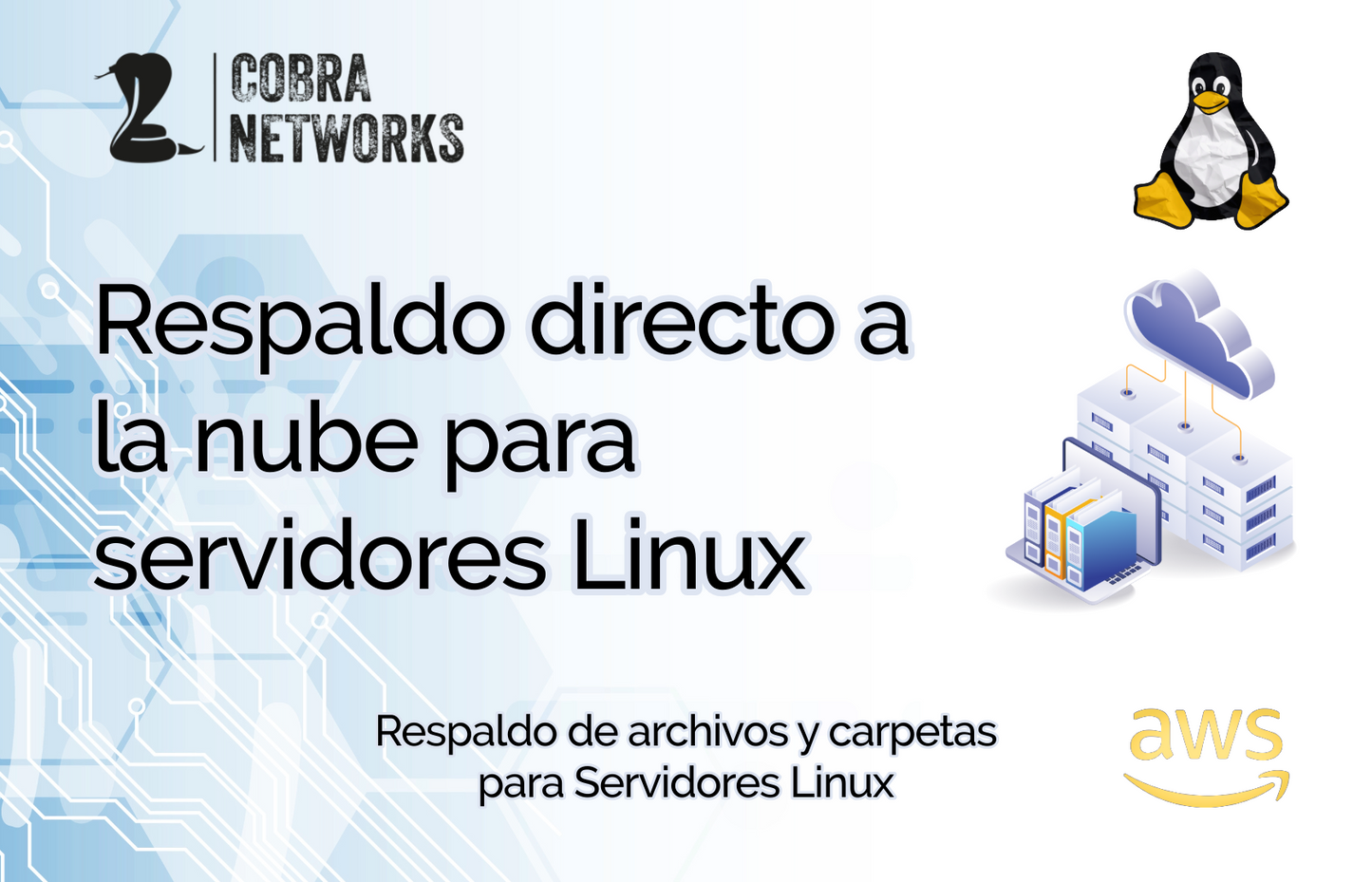 Respaldo directo a la nube para Servidores Linux suscripción anual.