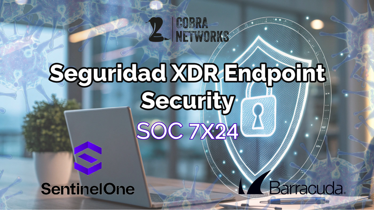 Servicio de seguridad para computadoras y servidores XDR con SentinelOne y SOC Barracuda 7x2412 meses.