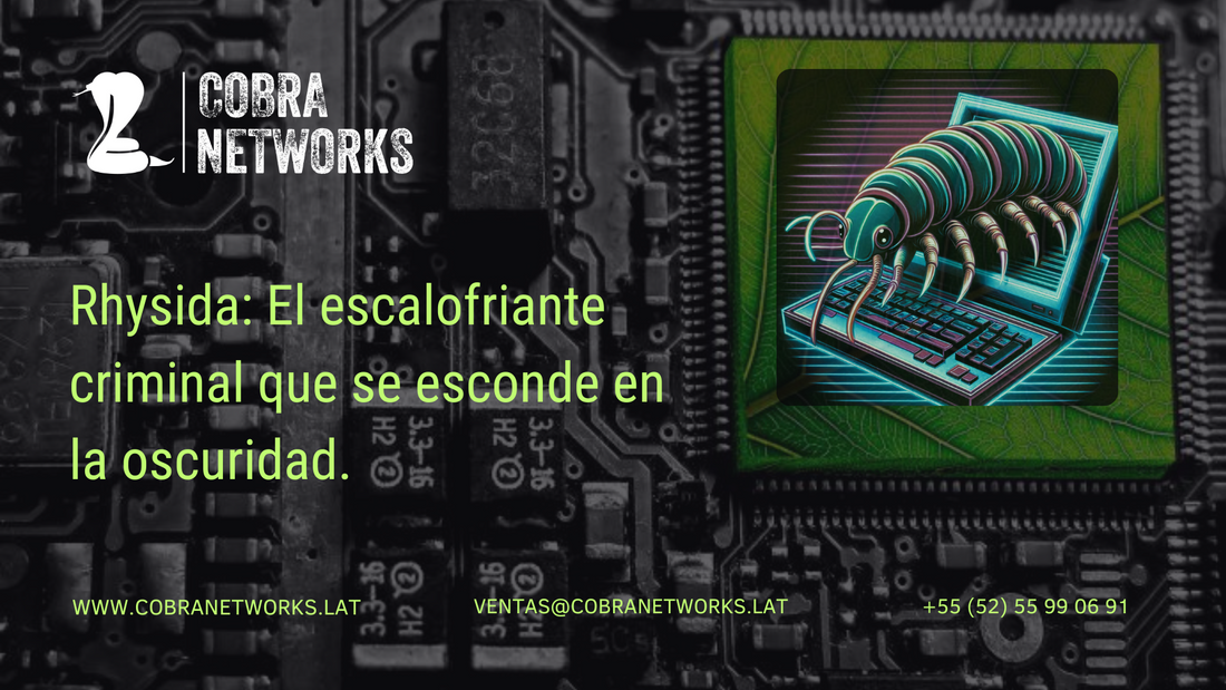 Rhysida Ransomware: El escalofriante criminal que se esconde en la oscuridad.