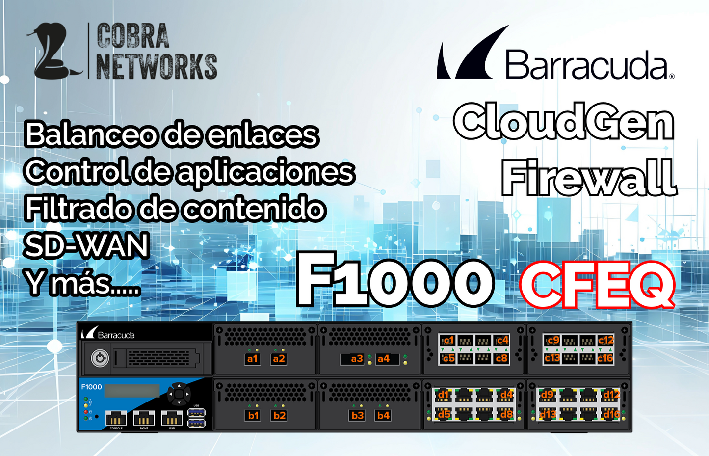 Barracuda CloudGen Firewall F1000B.CFEQ con 1 Year EU+IR