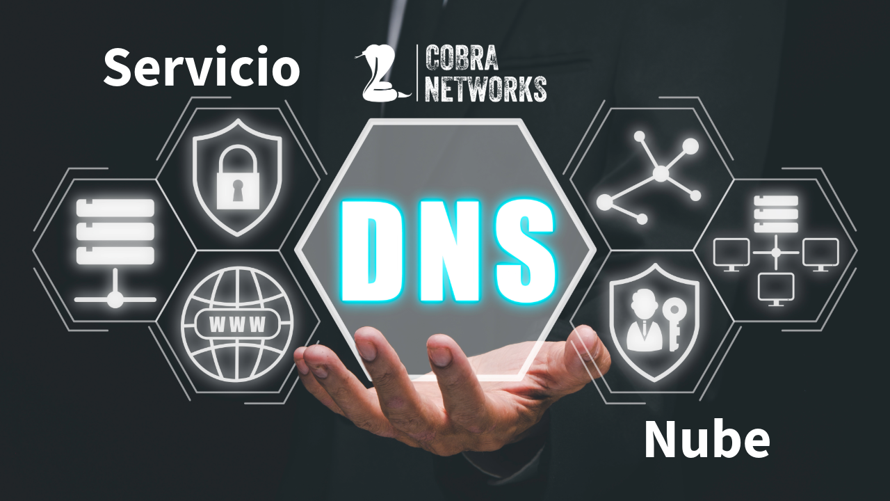Servicio DNS nube con ciberseguridad y tolerancia a fallas global 1 año