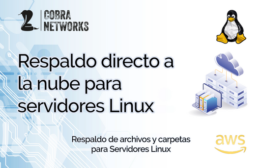 Respaldo directo a la nube para Servidores Linux suscripción anual.