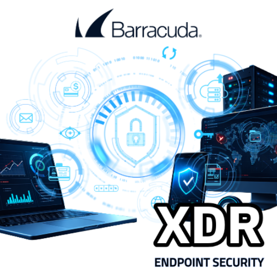 Imagen de Servicio XDR Endpoint Security 12 meses de servicio por equipo