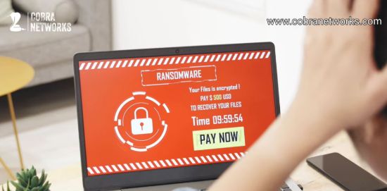 Imagen de Servicio XDR Endpoint Security 12 meses de servicio por equipo