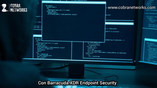 Imagen de Servicio XDR Endpoint Security 12 meses de servicio por equipo